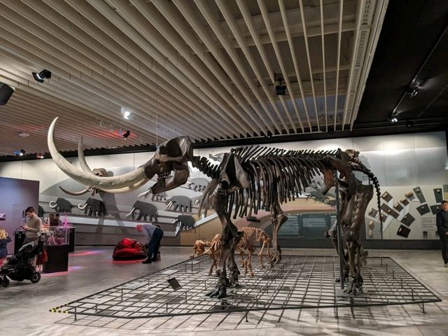 Fun Visit to the Frankfurt Natural History Museum