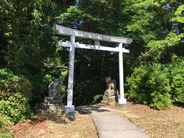 隠岐島國府尾城址：探索歷史與自然的交融