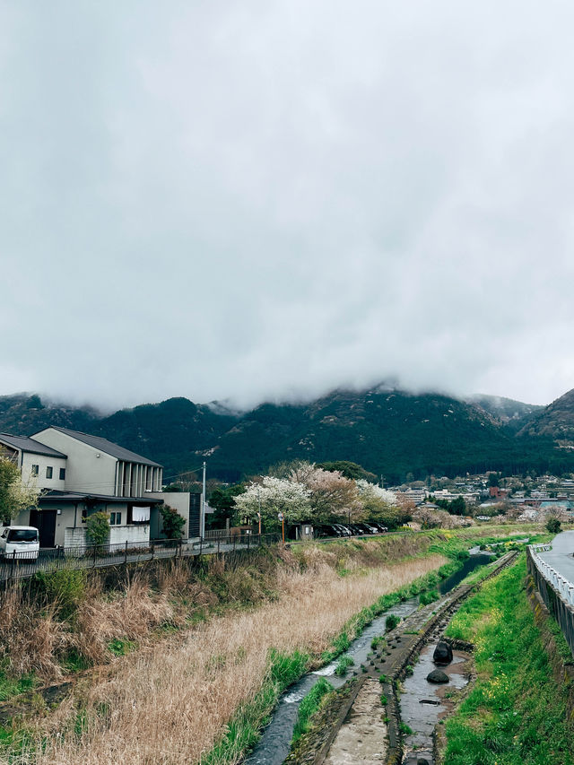 🇯🇵日本大方由布院🚄看看冒著白煙的金麟湖💨