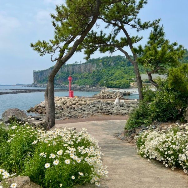 뷰 깡패 제주 카페 루시아
