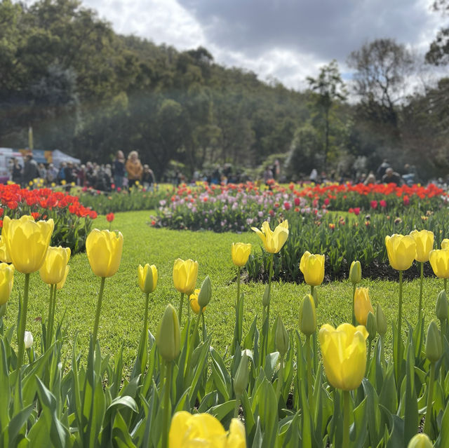 Araluen Botanic Park in Perth WA, perfect place for a weekend getaway