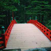 【出羽三山】羽黒山を巡りよみがえりを祈るリトリートの旅へ⛰
