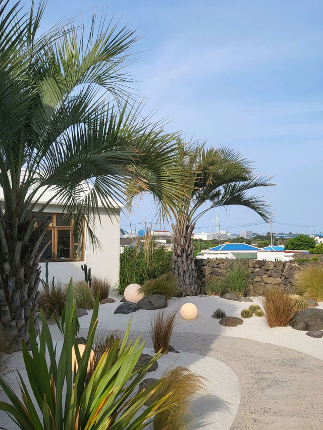 🍊 ⁺₊⋆ ☾ 제주 이국적인 카페 치즈태비🌴