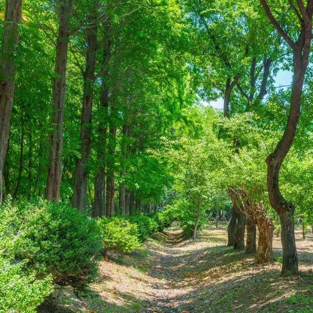 아직 덜 유명한 경주 포토스팟