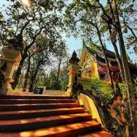 วัดอนาลโยทิพยาราม โดดเด่นด้วยศิลปะและสถาปัตย์