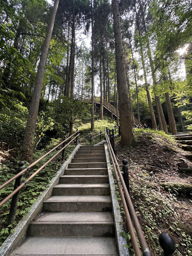 【熊本観光/自然】鍋ヶ滝