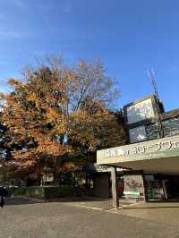 〜神奈川県〜絶対に行こ！絶景最強パワスポ