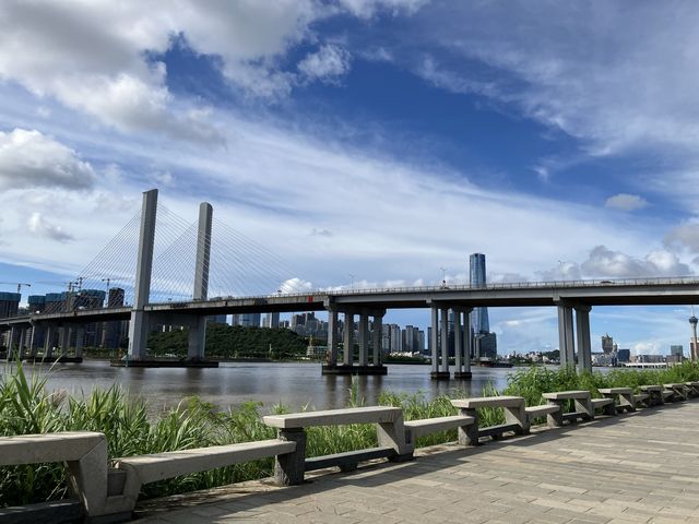 珠海橫琴花海長廊