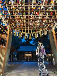 〜埼玉県〜【保存推奨】絶景！氷川神社ライトアップ✨