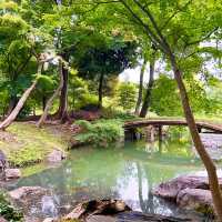 〜東京都〜六義園(りくぎえん)美しい日本庭園！穴場スポット