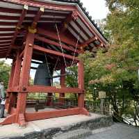 〜京都府〜一度は行こう！世界遺産平等院！10円の裏のお寺