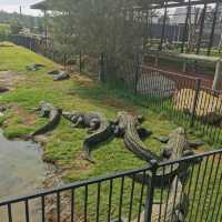 獵人谷野生動物園