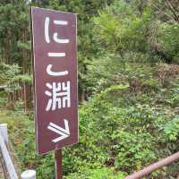 【高知】透明度抜群の滝壺で仁淀ブルーの絶景を