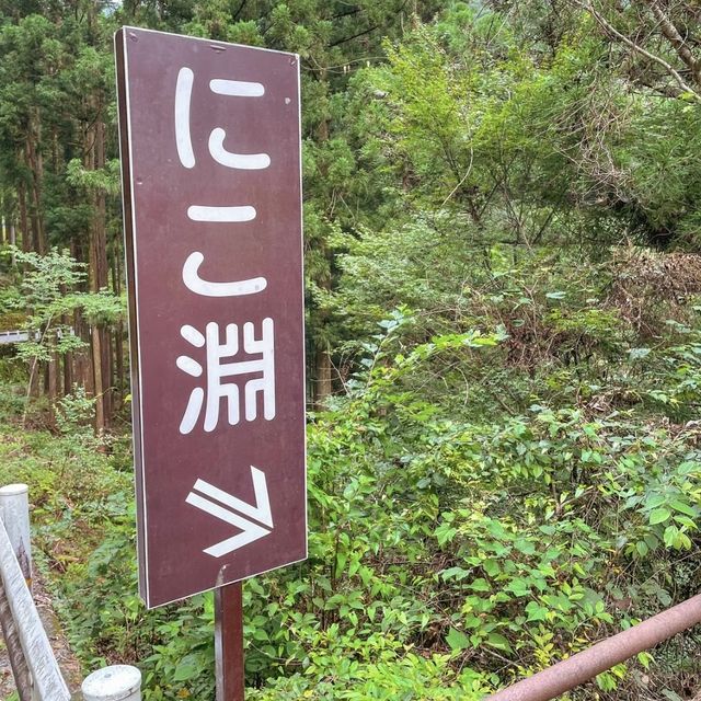 【高知】透明度抜群の滝壺で仁淀ブルーの絶景を