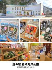 【和歌山】和歌山1泊2日ドライブ旅 2日目「日高」