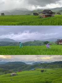 ที่พักป่าบงเปียง | เชียงใหม่ 🏡⛰️🌧️🌾