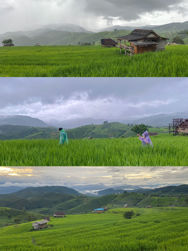 ที่พักป่าบงเปียง | เชียงใหม่ 🏡⛰️🌧️🌾
