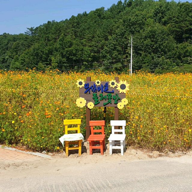 물 위에 떠있는 꽃섬, 영주 무섬마을