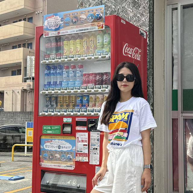 일본의 보물 오키나와 