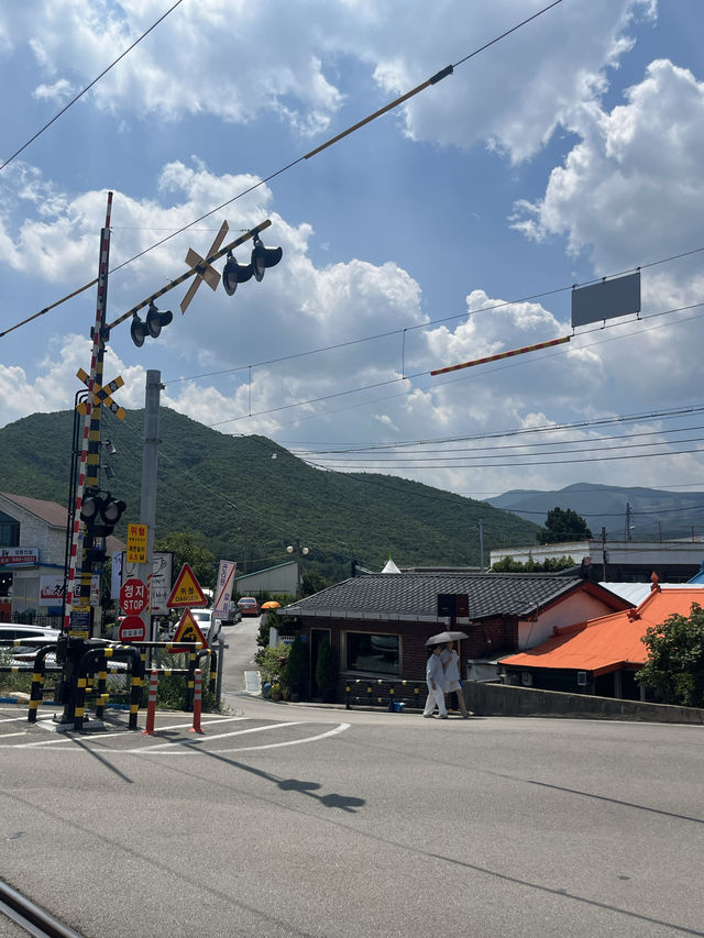 청량한 여름이면 산따라 물따라, 정동진 여행