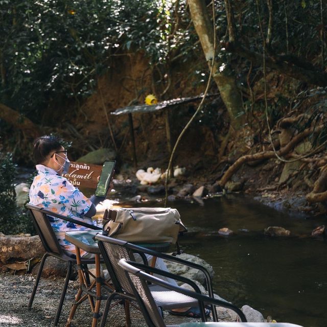 คาเฟ่ใจกลางป่า เชียงใหม่ 🍃🌳