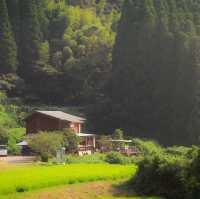Want to escape the city ? 