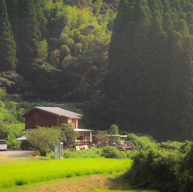 Want to escape the city ? 