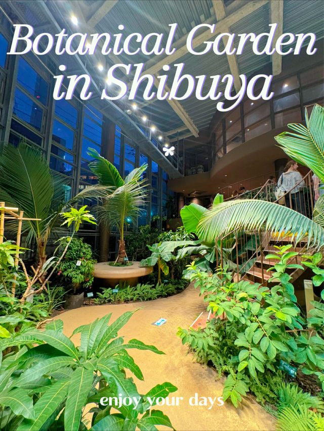 入場料たったの100円🫣✨大都会にあるオアシス🕊🌿💗【東京・渋谷】
