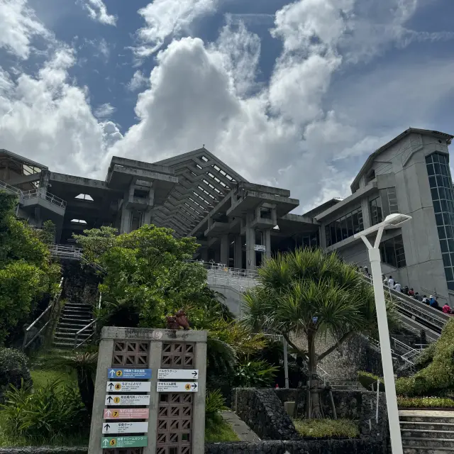 โอคินาวา สถานที่ท่องเที่ยวที่ต้องไป ชูราอูมิอควาเรียม +เคล็ดลับ