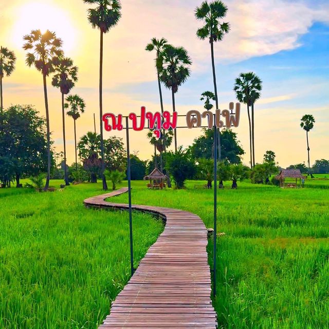 นั่งรถไฟชมวิวทุ่งนาข้าวบรรยากาศสุดชิว