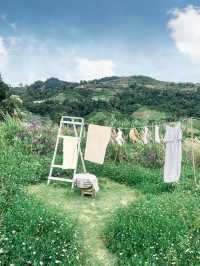 JINJU the orange farm สวนส้มเชียงใหม่ฟีลเกาหลี