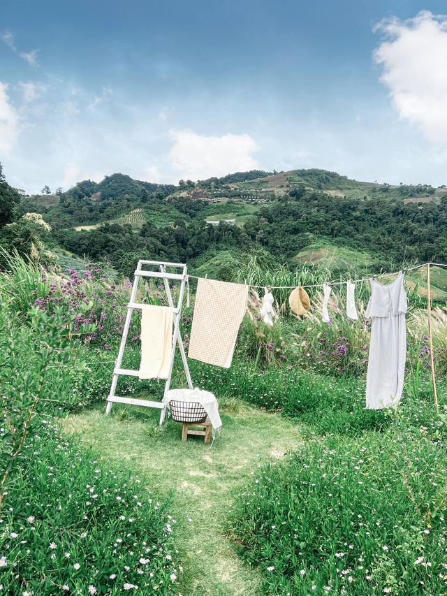 JINJU the orange farm สวนส้มเชียงใหม่ฟีลเกาหลี