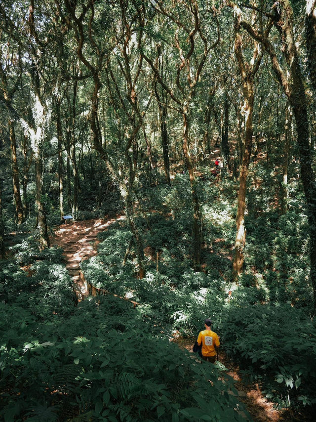 หนาวนี้ เตรียมร่างกายไปลุย กิ่วแม่ปาน 🧗🏻‍♂️