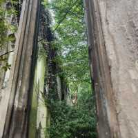 An urban oasis where nature meets history – discover London’s secret garden at St. Dunstan-in-the-Ea