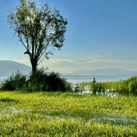 Incredible scenery at Erhai Lake