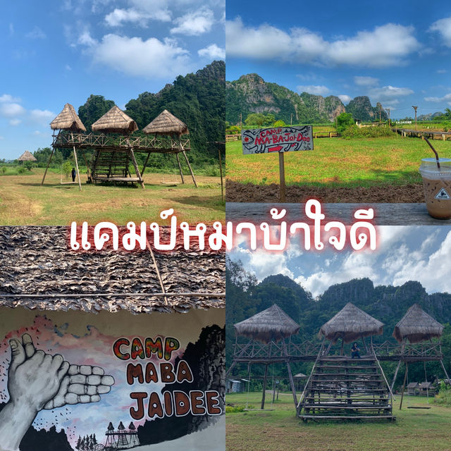 แคมป์หมาบ้าใจดี