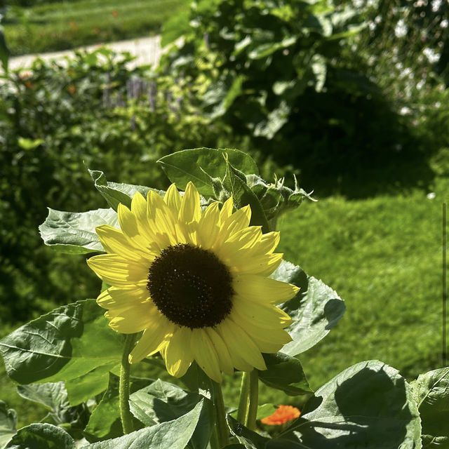 Jardin des Plantes: A Botanical Haven in the City