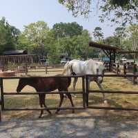 Rancho Charnvee Resort and Country Club