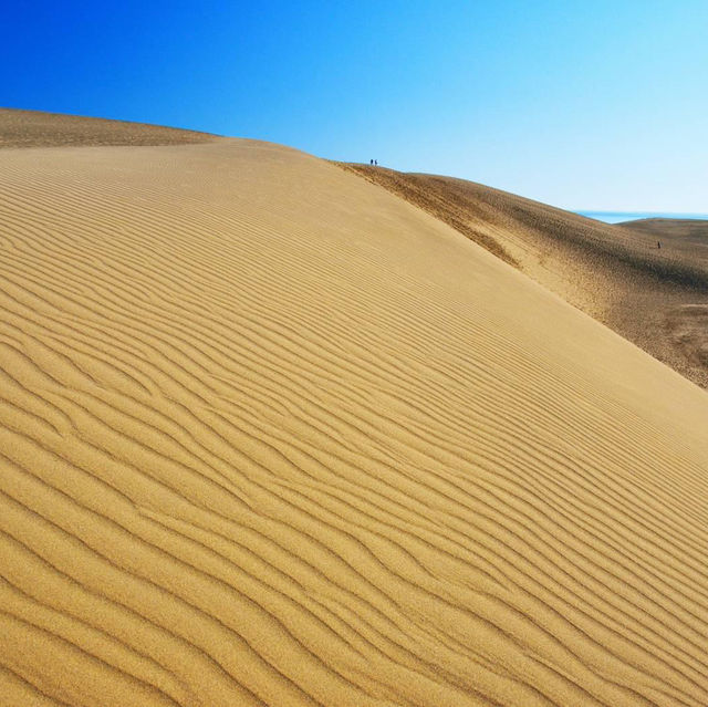Discover Tottori Sand Dunes Children’s Playground – A Hidden Gem for Family Fun