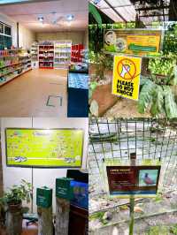 A Day at Deerland Park: Encountering Pythons and Other Animals