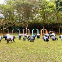 Seremban's City Park: A Perfect Spot for Recreation and Relaxation