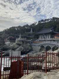 【釜山・機張】願い事を叶えてくれる？？海に面した珍しいお寺
