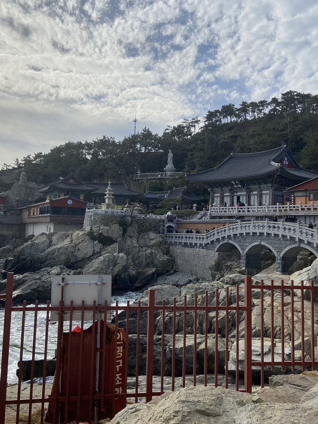 【釜山・機張】願い事を叶えてくれる？？海に面した珍しいお寺