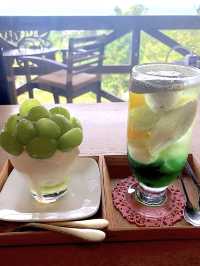 【福岡カフェ】緑に囲まれた景色がいいカフェ🌳✨️