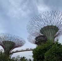 Gardens by the Bay (การ์เด้นส์ บาย เดอะ เบย์)