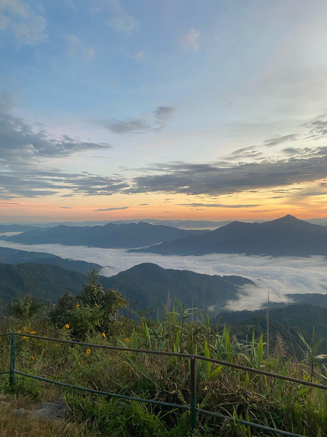 ดอยผาตั้ง | จ.เชียงราย ⛰️⛅️🌳🌼