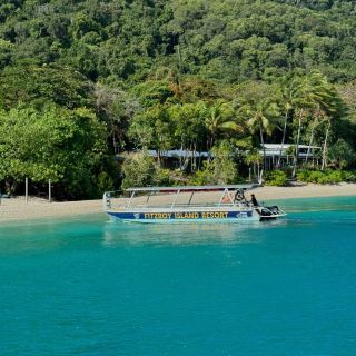 Island Perfection: Fitzroy Island Steals the Heart