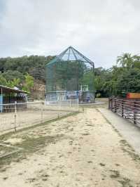 【淡路島】貴重な触れ合い！ロバとお散歩