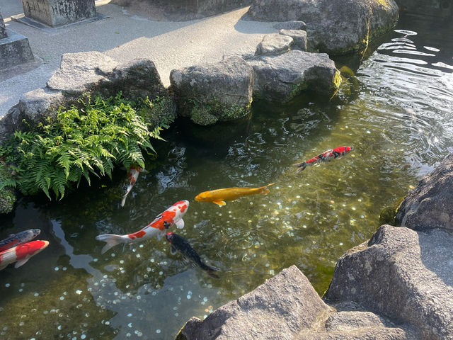 福岡遊太宰府天滿宮⛩️