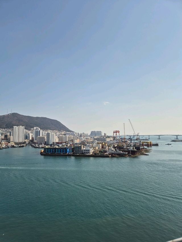Jagalchi Seafood Market Busan 🦞🐟🐠🐚